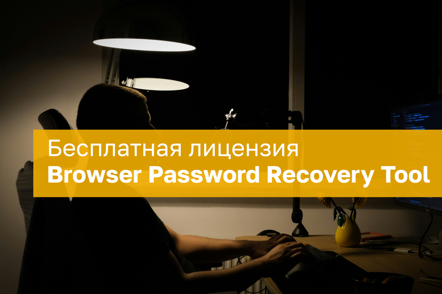 Browser Password Recovery Tool – бесплатная лицензия