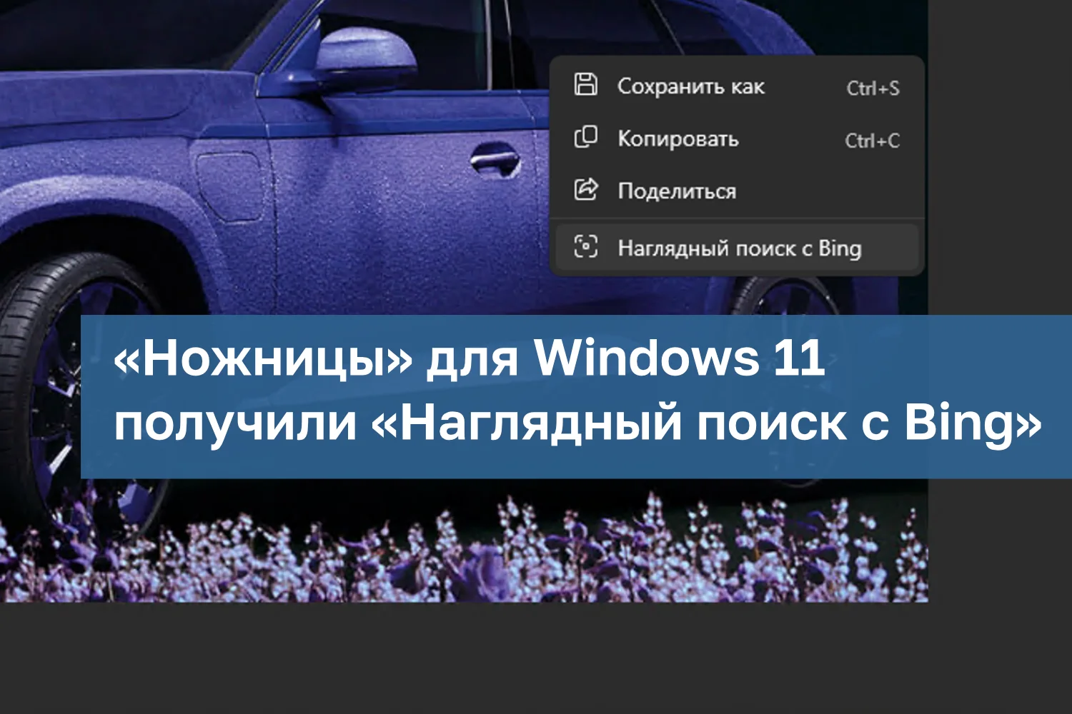 windows-11-bing