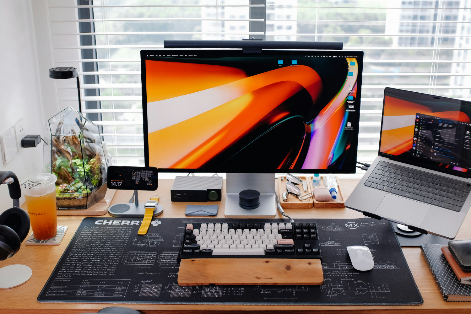 Dynamic Wallpaper Club: бесплатный сервис динамических обоев для macOS